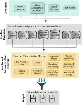 PPI-MASS: An Interactive Web Server to Identify Protein-Protein Interactions From Mass Spectrometry-Based Proteomics Data